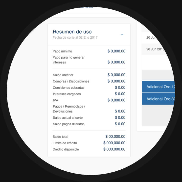 Citi Zoom on Dashboard