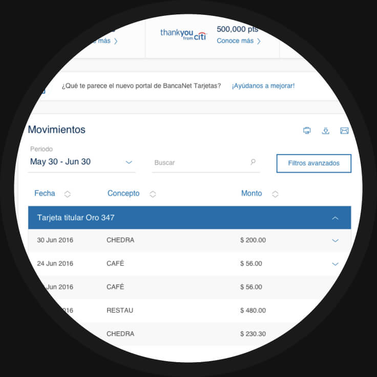 Citi Zoom on Dashboard
